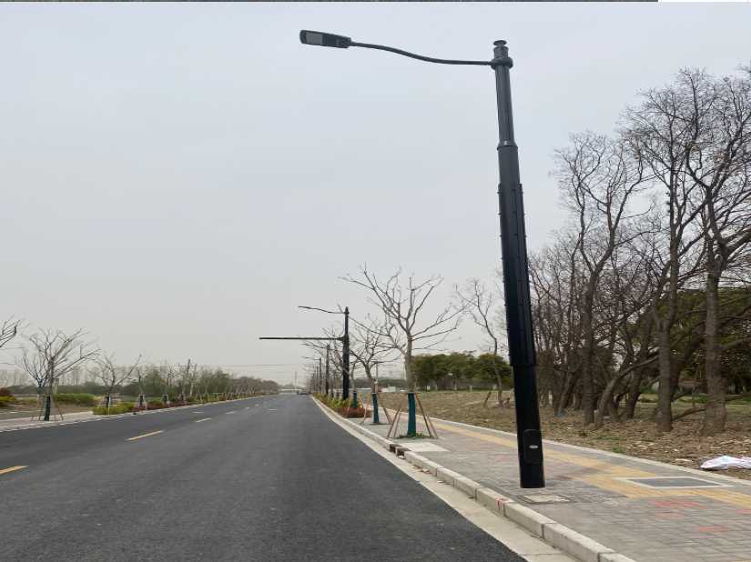 瑶海区上海综合杆 太阳能路灯工程